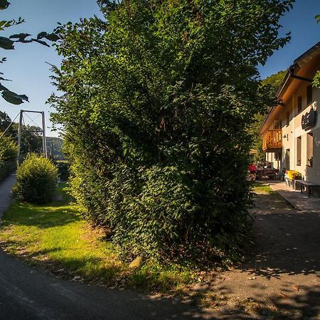 Penzion Krizky Malá Skála Buitenkant foto